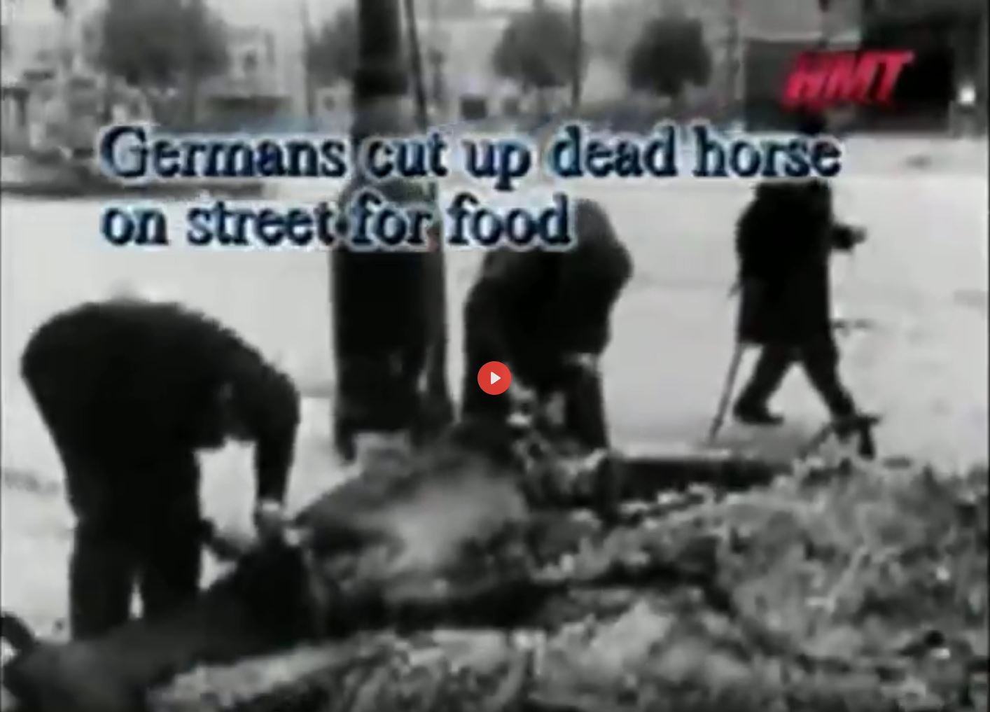 eat dead horse.JPG