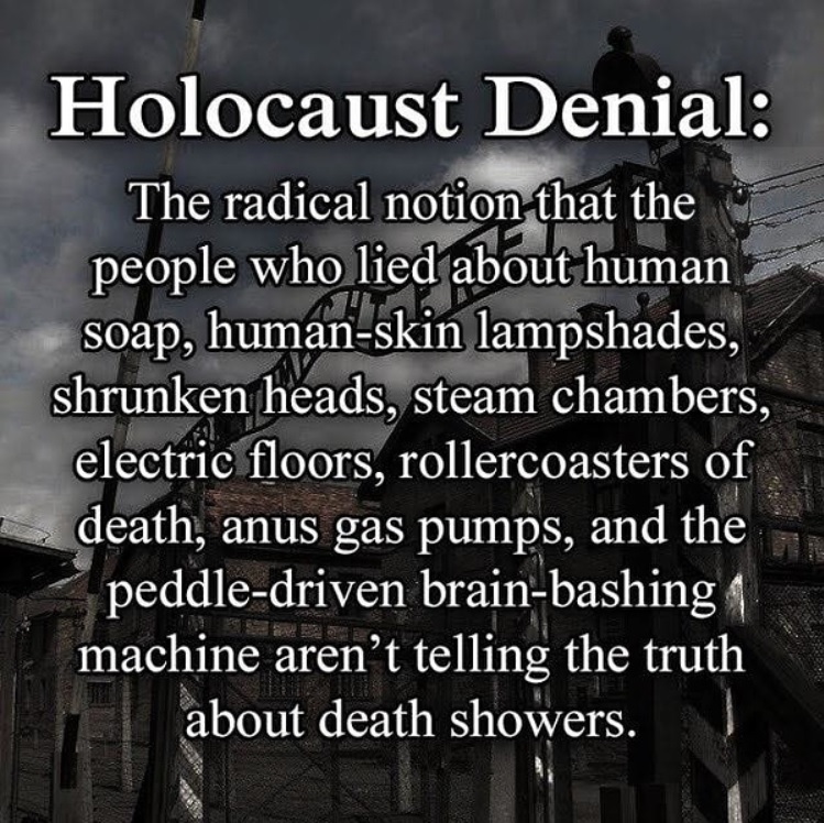 Holocaust-cartoon-Holohoax-definition-of-Holocaust-denial-radical-notion-that-the-people-who.jpg