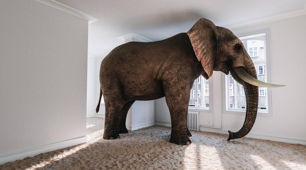 Elephantintheroom.jpeg