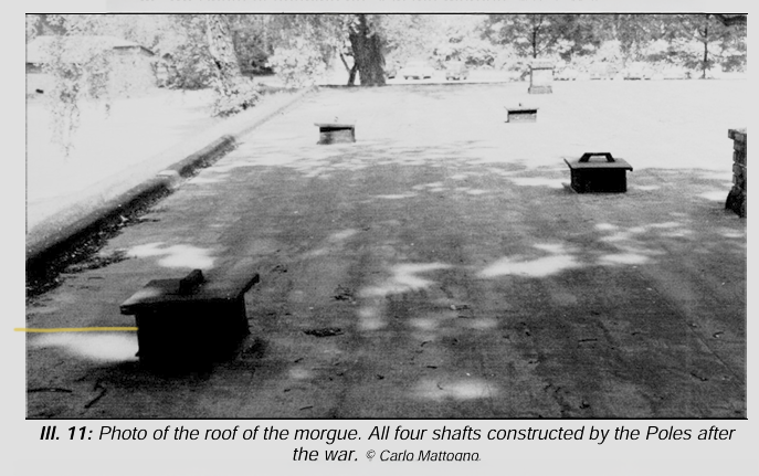 roof photo original_.png