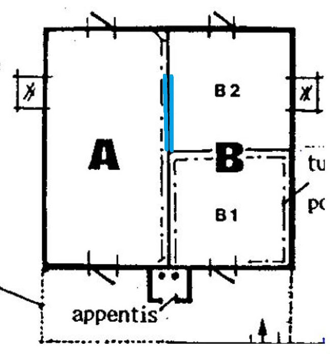 B2 staining.JPG