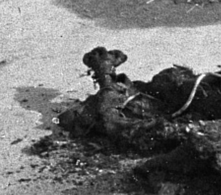 boneshoe.jpg