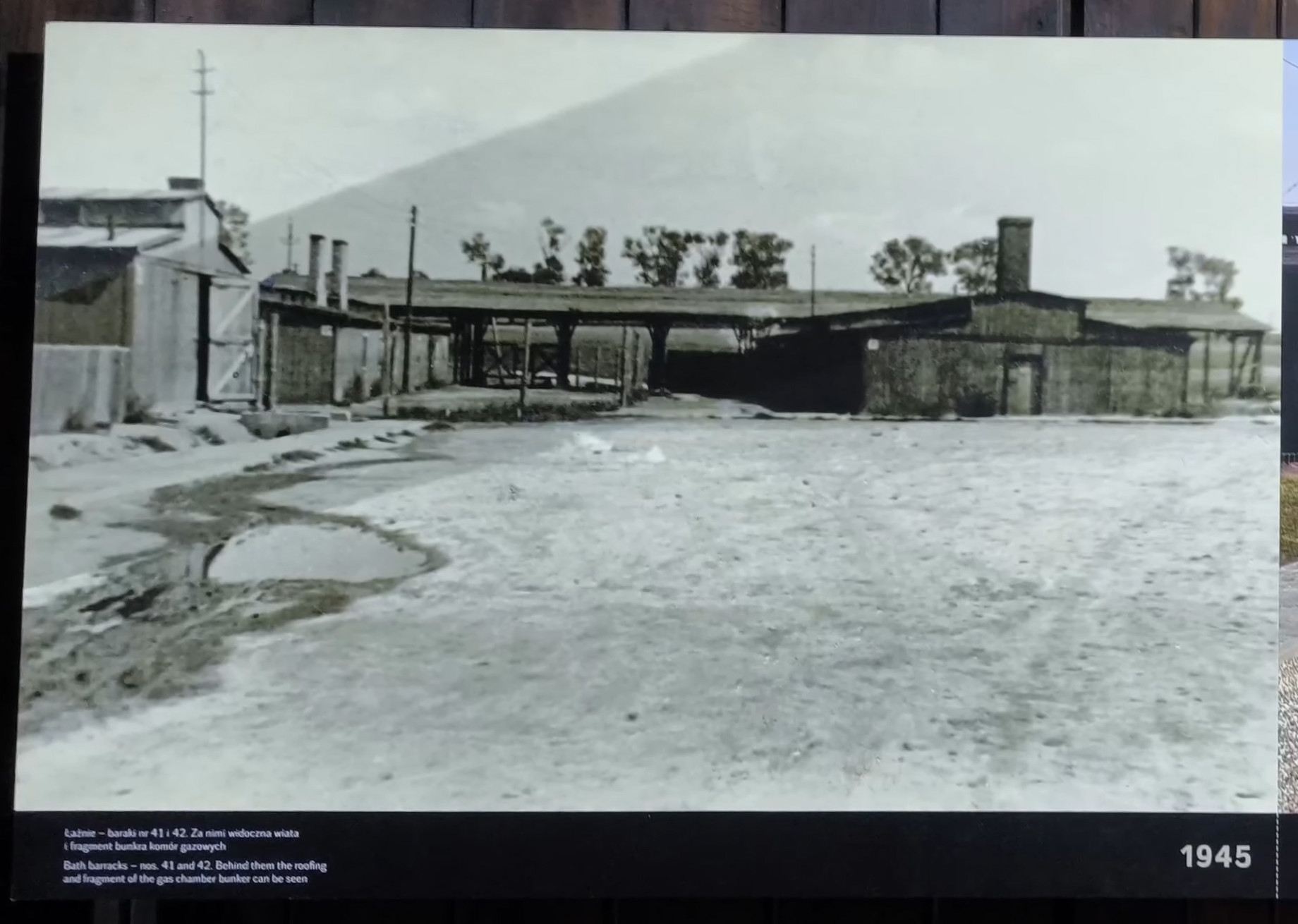 photo of front of B42 and B41, 1945.jpg