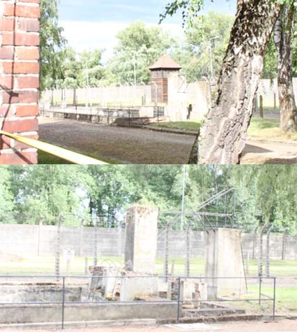 swimming pool 2024.jpg